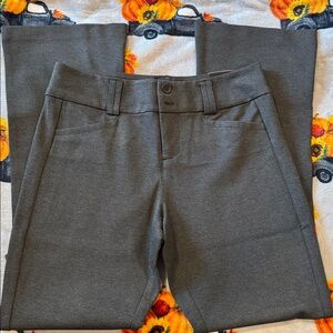 Torrid Studio Charcoal Trousers